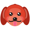 Rover